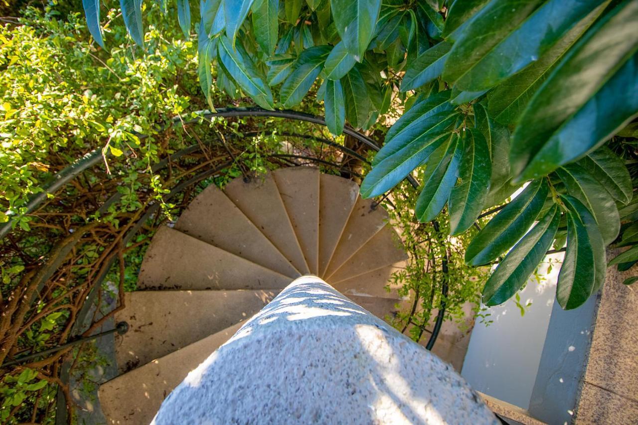 Auberge de jeunesse Music Garden Oporto